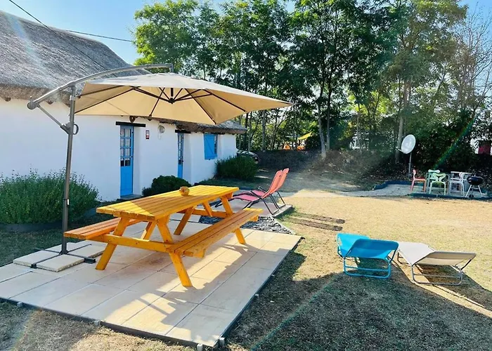 Charmante Bourrine Avec Jardin Clôturé, à 3km De La Plage, Animaux Admis - Fr-1-777-10 Saint-Jean-de-Monts