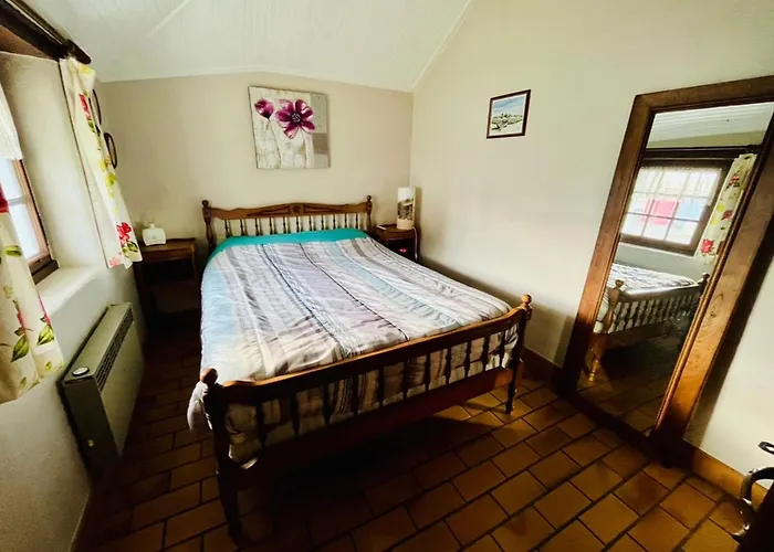 Charmante Bourrine Avec Jardin Clôturé, à 3km De La Plage, Animaux Admis - Fr-1-777-10 Saint-Jean-de-Monts